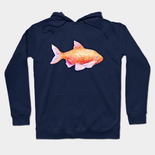 Fish3 Hoodie